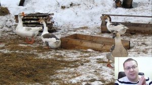 5 ВИДОВ БИЗНЕСА В ЧАСТНОМ ДОМЕ.