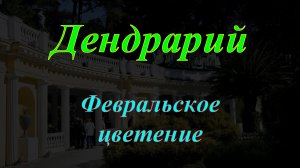 Дендрарий. Февральское цветение