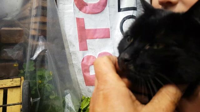 #КЕРОСИНОВАЯ #ЛАМПА #СССР смотреть онлайн