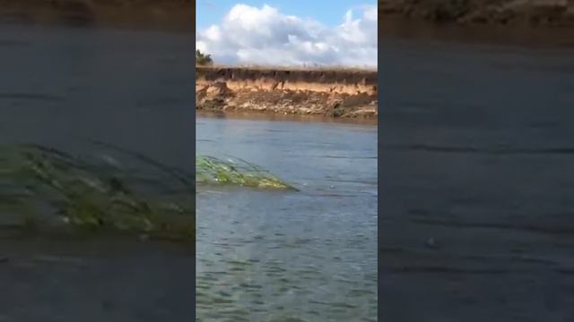 Сплав по реке Урал часть 1 смотреть онлайн