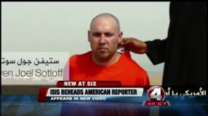 Video purports to show beheading of US journalist