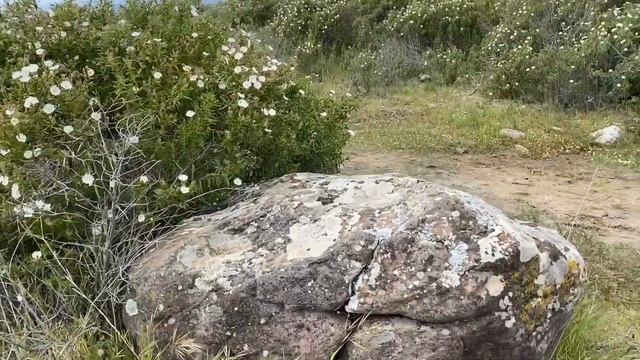 Лабиринты могут быть порталами. Священный холм. ЧАСТЬ 2. BIOT Франция. Соловецкие острова лабиринты смотреть онлайн