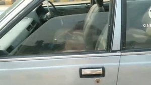 Nissan Sunny 1984  For Sale