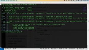 How to Create a MySQL Server using Docker Compose