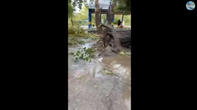 Ураган в Челябинске 31 июля 2020 смотреть онлайн