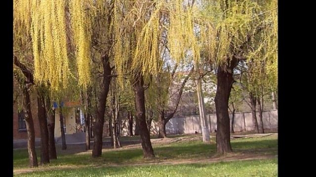 Золотая осень, золотая смотреть онлайн