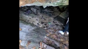 The Islands Caves Experience| Nassau,Bahamas #Nassau #Bahamas #caves