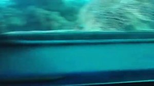 Океанариум в ИЗРАИЛЕ!!! Часть 2.