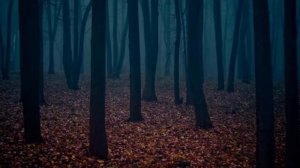 Мистические места мира! Аномалии 2021!В это невозможно поверить!Загадки мира! Змеиный остров!Зона 5