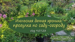 Дача в июле:  показываю сад-огород | Vlog Дача как есть, хроника  9.07.2023