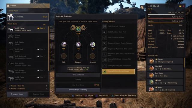 BDO Console Calpheon Ball enhancing and more