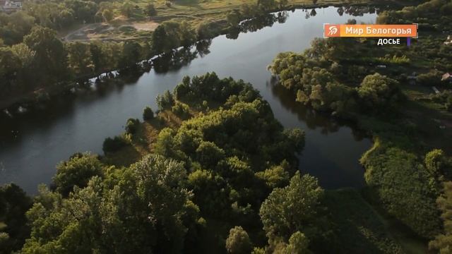 Белгородских лесов станет больше на 15% смотреть онлайн