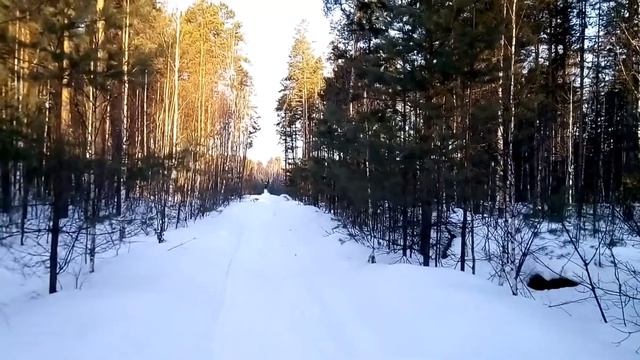 Рыбалка на озере "Светлом" смотреть онлайн