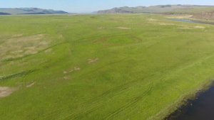Туба и Красонярское водохранилище  14.06.2023