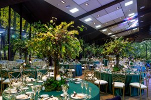 Летняя веранда конгресс-парка "Волынское"