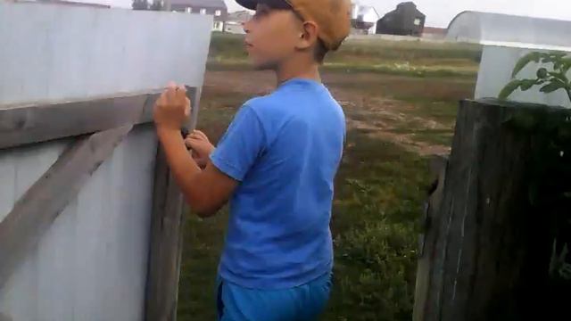 Птица срёт смотреть онлайн