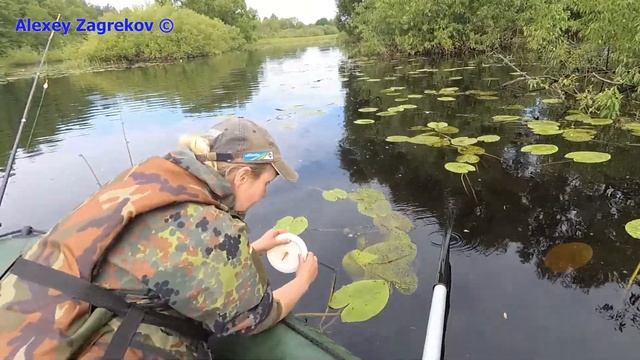 Взял жену на рыбалку ? Ловля щуки на Березине ? Бобруйск #2