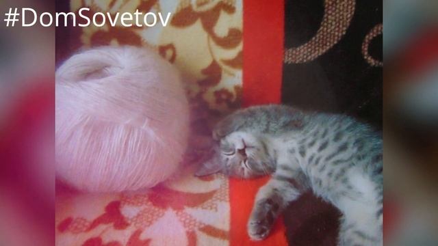 13 декабря ДЕНЬ СВЯТОГО АНДРЕЯ ПЕРВОЗВАННОГО. Что нужно и НЕЛЬЗЯ делать в этот день#DomSovetov