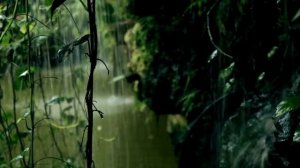 SHAMANIC DRUMS - Deep Forest Sounds | Journey for Trance, Meditation,  Activate Your Higher Mind