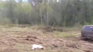 Дергаем Great Wall Deer G5
