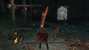 Dark Souls 2 часть 54: Убежище Дракона 27-й босс: Скверная Королева Элана