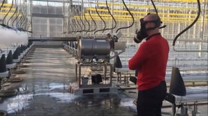 Самый МОЩНЫЙ генератор горячего тумана IGEBA TF160/150 Jumbo Дезинфекция теплицы