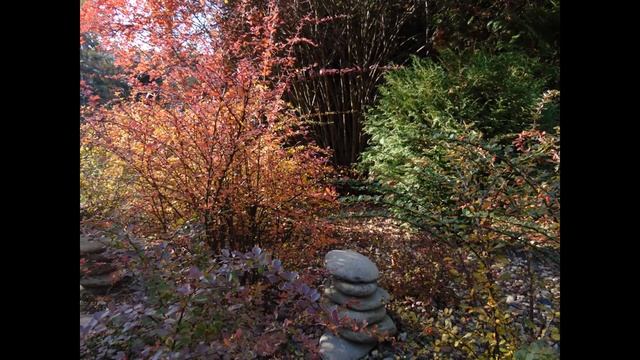 Осень - Подарок Бога смотреть онлайн