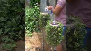 Креативные идеи по выращиванию цветов для небольших огородов или садов!