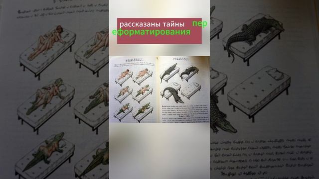 Нашлась книга, описывающая настоящее мироустройство