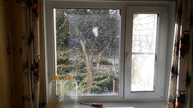 СЕРИЯ 9: ДЕРЕВО НАПРОТИВ ОКНА. ЭТО ПЛОХО? смотреть онлайн