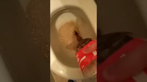 Чистим унитаз колой