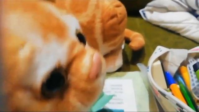 Один из дней котоучительницы.1 часть:шутка над учителем.#активпожалуйста #животные #активвернись смотреть онлайн