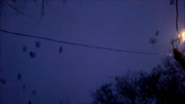 Вороны - нашествие !!! смотреть онлайн