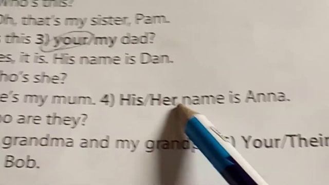 Делаем задание 1 на стр. 28 модуль 2 учебник Spotlight 3 класс смотреть онлайн