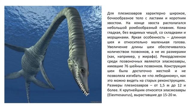 Презентация Морские динозавры Детский сад Сказка