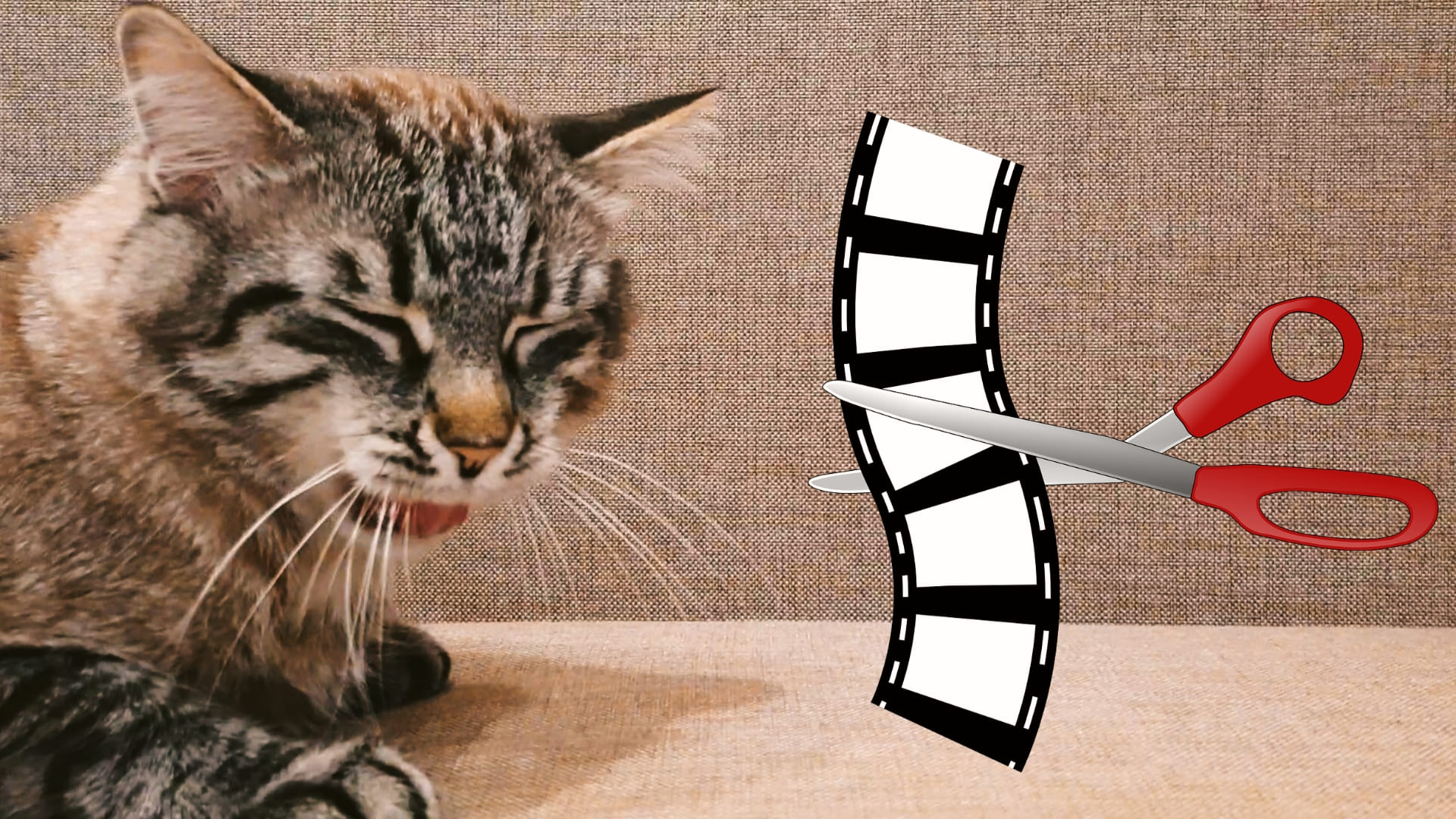 Забавный монтаж зевающего кота | Котики