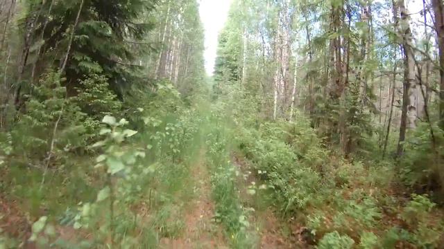 Мшинская (Гидростроитель)-Луги-Низовка-Низовская