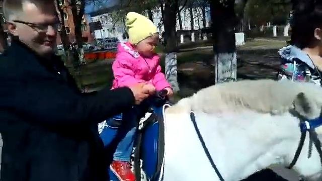 Конная прогулка.