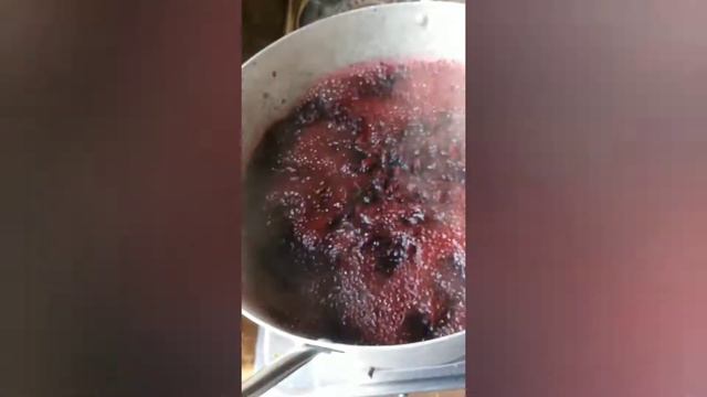 How to cook a healthy zobo/Hibiscus drink смотреть онлайн