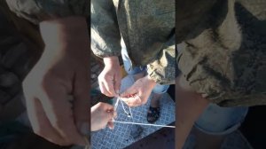 Супер перемёт на сома (подвес груза и балберы)