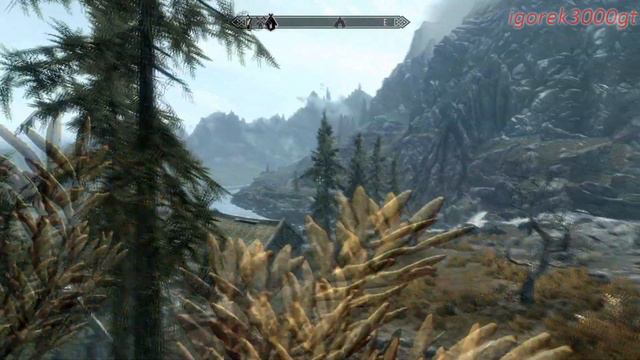 TES V - Skyrim на максимальных настройках