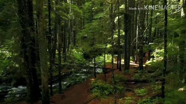 Измените образ ваших мыслей, вдумайтесь в эти слова.