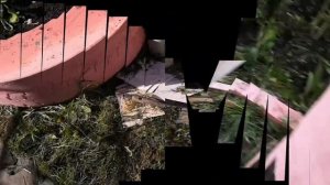 Куриные яйца в тандыре