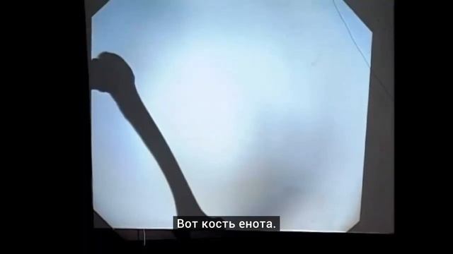 MIT - Massachusetts Institute of Technology - Измерения пространства и времени