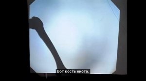MIT - Massachusetts Institute of Technology - Измерения пространства и времени
