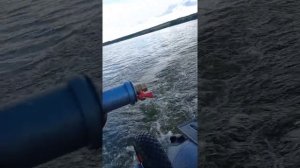 лодка 260 с мотором от тримера