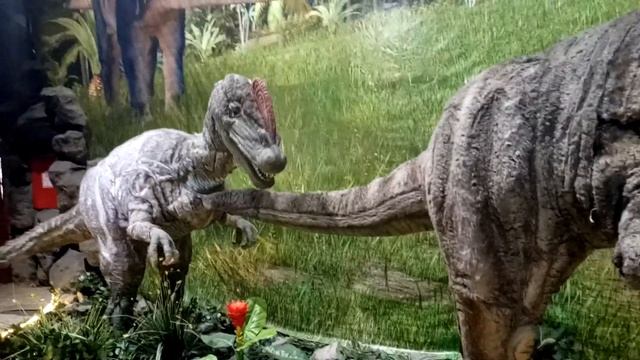 Айко в динопарке алматы2020 смотреть онлайн