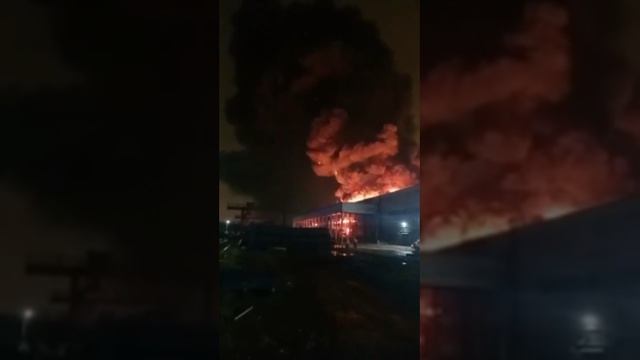 ⚡️Срочные Новости! Сегодня! Мощный пожар охватил склад в поселке Металлострой в Петербурге!⚡️