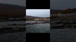 lv_0_20231026120229.mp4