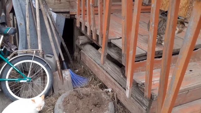 Прогулка в центре/Готовим домашние пельмешки/Вечер на улице с папой/Блинчики-самая вкусная еда. смотреть онлайн